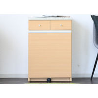 【軒先渡し】サン ワルツ ダストカウンター 53L 幅550×奥行450×高さ805ｍｍ ナチュラル 89013 1台（直送品）