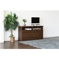 【軒先渡し】サン パーン テレビボード ミドル 幅1188×奥行318×高さ630ｍｍ ブラウン 61181 1台（直送品）