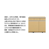 【軒先渡し】サン ワルツ ダストカウンター 79.5L 幅895×奥行450×高さ805ｍｍ ナチュラル 89014 1台（直送品）