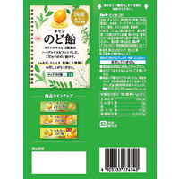 【ワゴンセール】ロッテ のど飴（袋）　2袋　キャンディ