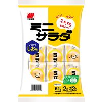 三幸製菓 ミニサラダ しお味　2枚×12袋入 3個　せんべい　あられ 個包装 お配り