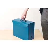 ライオン事務器 ボックスファイル テレネ レッド A4サイズ フタ付き 持ち運び可能 BF-42TR 1冊