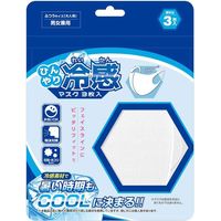 ひんやり冷感マスク 3枚入 ふつうサイズ 大人用 男女兼用 夏用 クールマスク 繰り返し洗える 伸縮性生地　マスク（直送品）