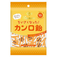 キャンディ 小粒 個包装 ちいさくなったカンロ飴 小粒 50g 1セット（1個×16）