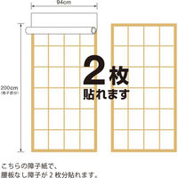 大直 プラスチック障子紙 雲竜 2枚分 60470008 1セット（わけあり品）