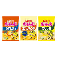 ポテトチップス 食べきりサイズ おつまみ 人気3種アソート 55g 1セット（1個×12）