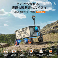 イチネンアクセス 電動キャリーワゴン W2 PRO 1台（直送品）