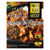 エスビー食品 噂の名店 THE MEAT とろとろ牛すじカレー 辛口 180g 1セット（1個×3）レンジ対応 レトルト