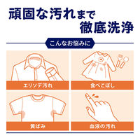 ナノックスワン（NANOX one）スタンダード 業務用 洗濯洗剤 濃縮 液体 詰め替え バックインボックス 10kg 1個 ライオン (旧品)