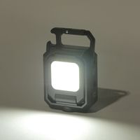 ライト　カラビナライト ブラック LAKOLE/ラコレ