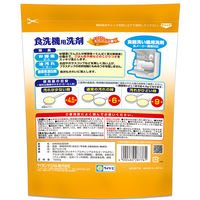 ピクス 食洗機用洗剤 オレンジの香り 大容量 1000g 1個 ライオンケミカル