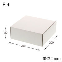 シモジマ フリーBOX Fー4 006205004 1袋(10枚)（わけあり品）