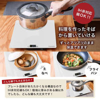 サンコー 「フードウォーマープレート L ブラック」 FDWRPLSBK 1台（わけあり品）