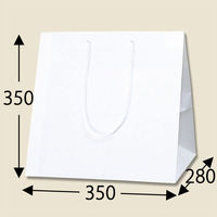 シモジマ アレンジバッグ M 白無地 006441101 1袋(10枚)（わけあり品）