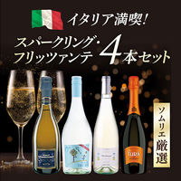 イタリアスパークリングワイン＆フリッツァンテ4本セット 1セット（750ml×4本）　モンテ物産（わけあり品）