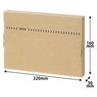 アスクル 「現場のチカラ」薄型ダンボールケース 220×160×30mm 1セット（1パック（10枚入）×10） オリジナル オリジナル（わけあり品）