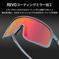 ロックブロス HDレンズサングラス 14110025012 防曇調光:ブラック M14110025012 1個（直送品）