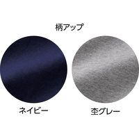 ディーエーピー 天竺パンツ ネイビー M W018006201 1着（直送品）