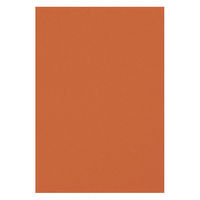 リンテック 色画用紙 ニューカラーR 八切 ちゃいろ NCR2368　1包(100枚入)（わけあり品）