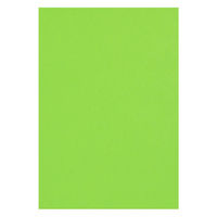 リンテック 色画用紙 ニューカラーR 八切 こいきみどり NCR2388　1包(100枚入)（わけあり品）