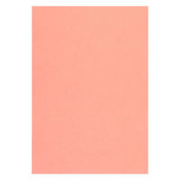 リンテック 色画用紙 ニューカラーR 八切 サーモン NCR1278 1包（100枚入）（わけあり品）