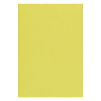 リンテック 色画用紙 ニューカラーR 八切 やなぎ NCR1068 1包（100枚入）（わけあり品）