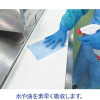 【不織布ウエス】 大王製紙 エリエールプロワイプストロングタオルE50ブルーハンディ100枚 1パック（100枚入）（わけあり品）