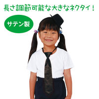 アーテック ソフトサテンネクタイ 黒 18847 1セット(1本×4)（直送品）