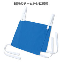 アーテック カラー両面ゼッケン 青 19253 1セット(1枚×3)（直送品）