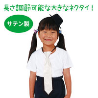 アーテック ソフトサテンネクタイ 白 18848 1セット(1本×4)（直送品）