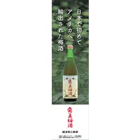 角玉 梅酒 1.8L 1本 佐多宗二商店 リキュール