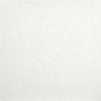 アサヒペン 天井用パネルカベ紙 9枚入り TPー16 1個(9枚入)（直送品）