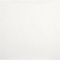 アサヒペン 天井用パネルカベ紙 9枚入り TPー14 1個(9枚入)（直送品）