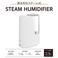 YAMAZEN パーソナルスチーム加湿器 アロマポット付き 容量2.5L 最大加湿量250ml KS1-B251(W) 1台