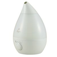 アピックスインターナショナル アピックス 超音波式アロマ加湿器mini グリーン ASZー150 GR ASZ-150(GR) 1台