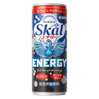 南日本酪農協同 スコールエナジー 250ml 1箱（20缶入）