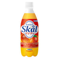 南日本酪農協同 スコールマンゴー 500ml 1箱（24本入）