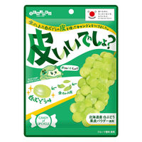 キャンディー 飴 皮いいでしょ？ 65g 1セット（1個×5）