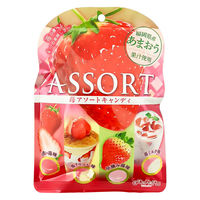 キャンディー 飴 苺アソートキャンディ 85g 1セット（1個×5）
