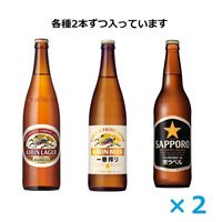 ビール 瓶ビール アソート 3種飲み比べセット 大瓶 大ビン 633ml 1セット(6本)