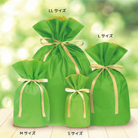 エスパック 簡単ギフトバッグ(梨地) M グラスグリーン 40枚入 NG-062-AS 1セット(40枚入)（直送品）