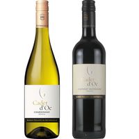 （紙箱込・紙袋付）フランス 赤ワイン・白ワイン 各1本 ギフトセット 750ml×2本 ギフトセット 1セット