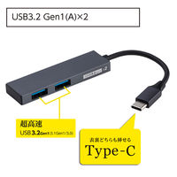 ナカバヤシ USB3.2Gen1 TypeーC 2ポートハブ 極薄極細 グレー UH-C3302GY 1個