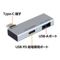ナカバヤシ TypeーC ホストアダプタ PD対応 シルバー SAD-CH06PSL 1個