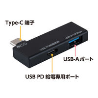 ナカバヤシ TypeーC ホストアダプタ PD対応 ブラック SAD-CH06PBK 1個
