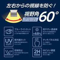 ナカバヤシ Surface Laptop 13インチ のぞき見防止フィルタ TBF-SFL251FLGPV 1枚