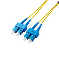光ファイバーケーブル SC-SC シングルモード 2芯 OS2 10m OC-SCSC2S2/10 エレコム 1個（直送品）