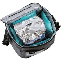 トラスコ中山 TRUSCO クール汗拭きクロス 北極ボディシート 保冷剤付き CSH84-SET 1セット(84枚) 701-3849（直送品）