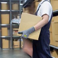 東和コーポレーション トワロン 天然ゴム背抜き手袋 メジャーローブライト LL 313-LL 1双 686-8742（直送品）