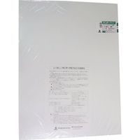 アクリサンデー PET樹脂板450mmx600mmx0.5mm PG-1 M 0.5 1枚 195-5498（直送品）